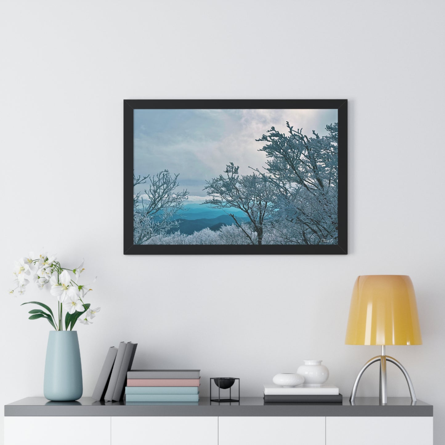 Winter in the Blue Ridge Mountains