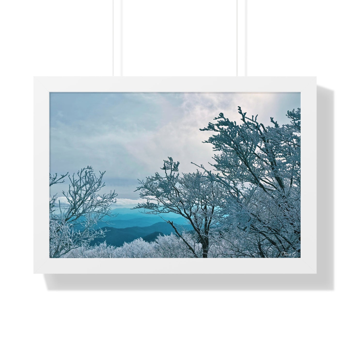 Winter in the Blue Ridge Mountains