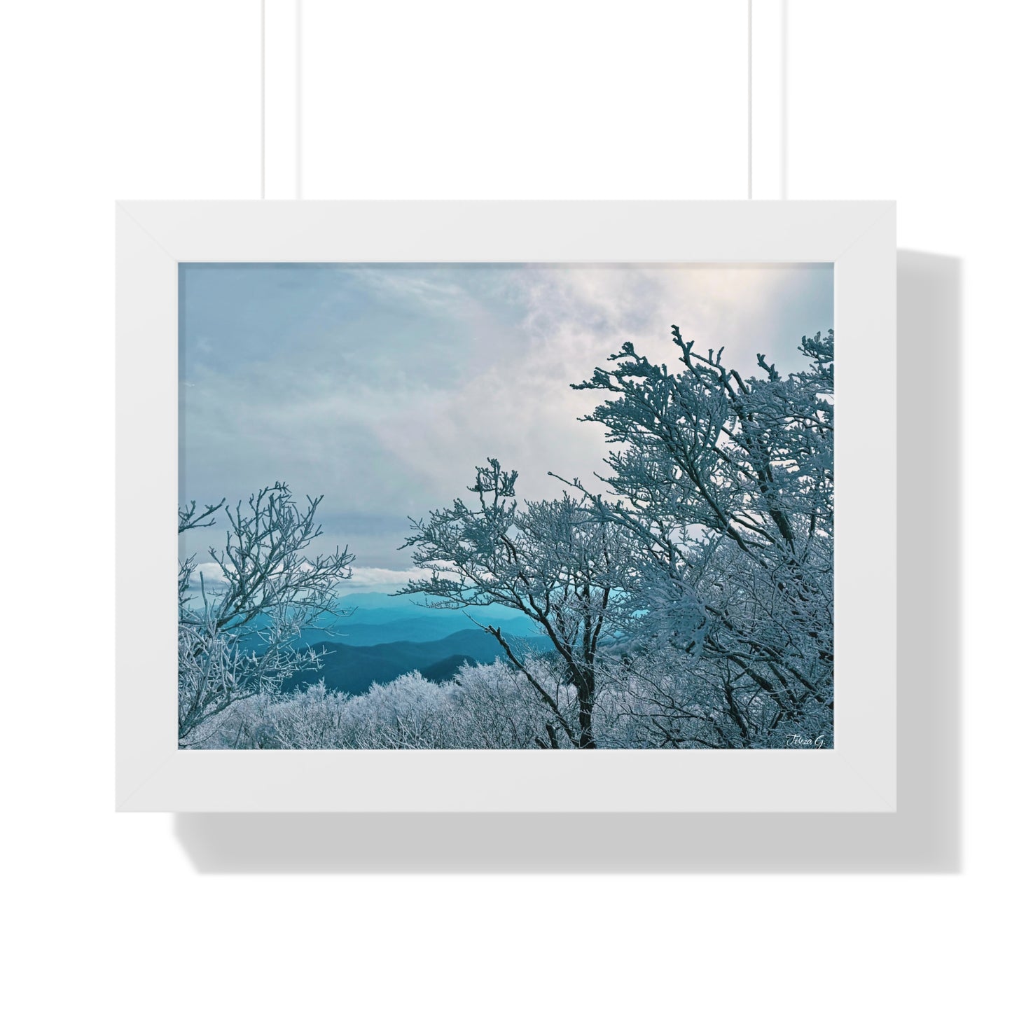 Winter in the Blue Ridge Mountains