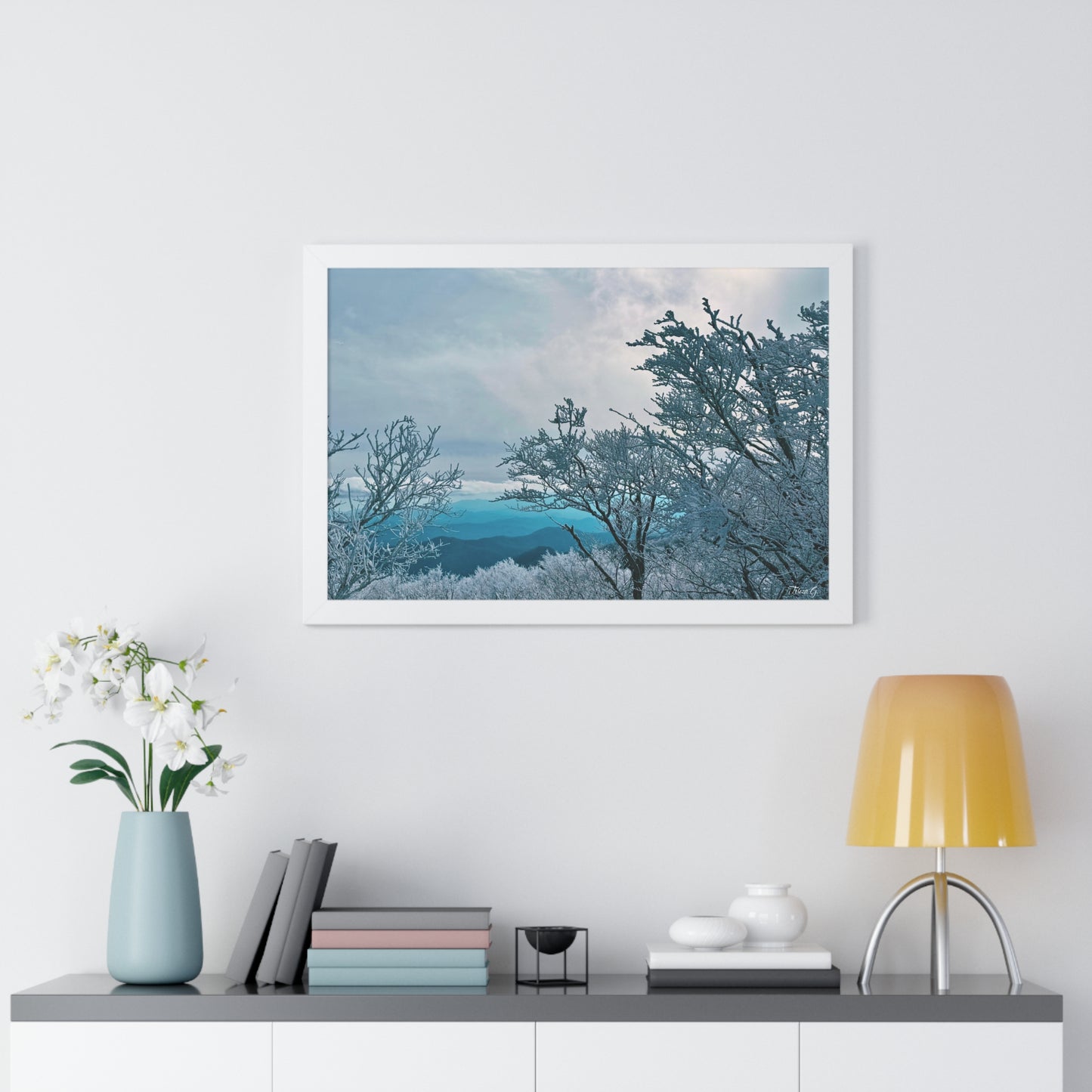 Winter in the Blue Ridge Mountains