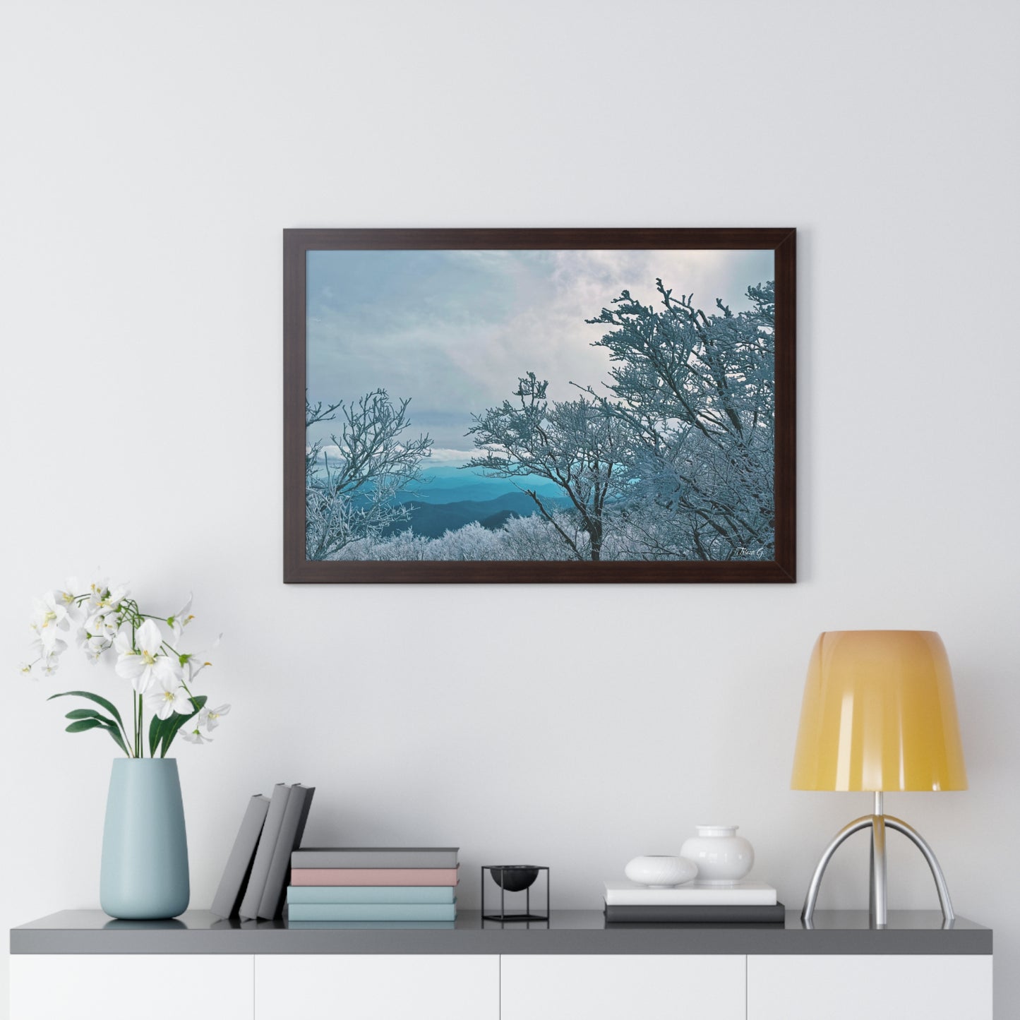 Winter in the Blue Ridge Mountains