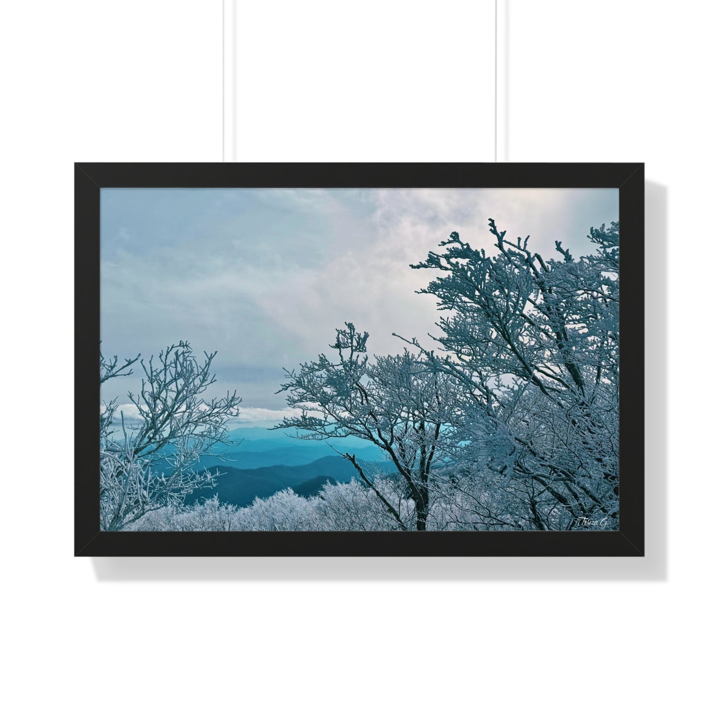 Winter in the Blue Ridge Mountains