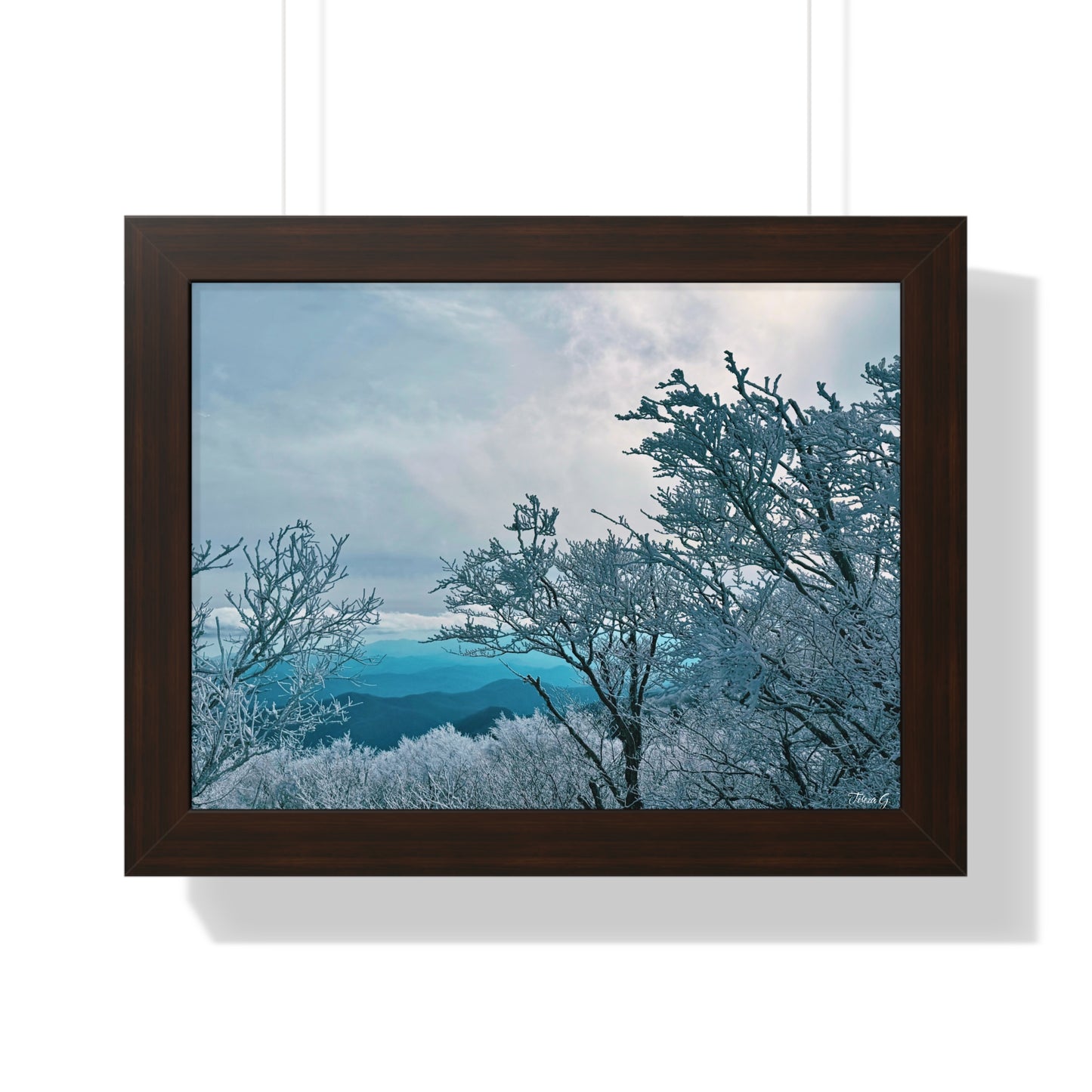 Winter in the Blue Ridge Mountains