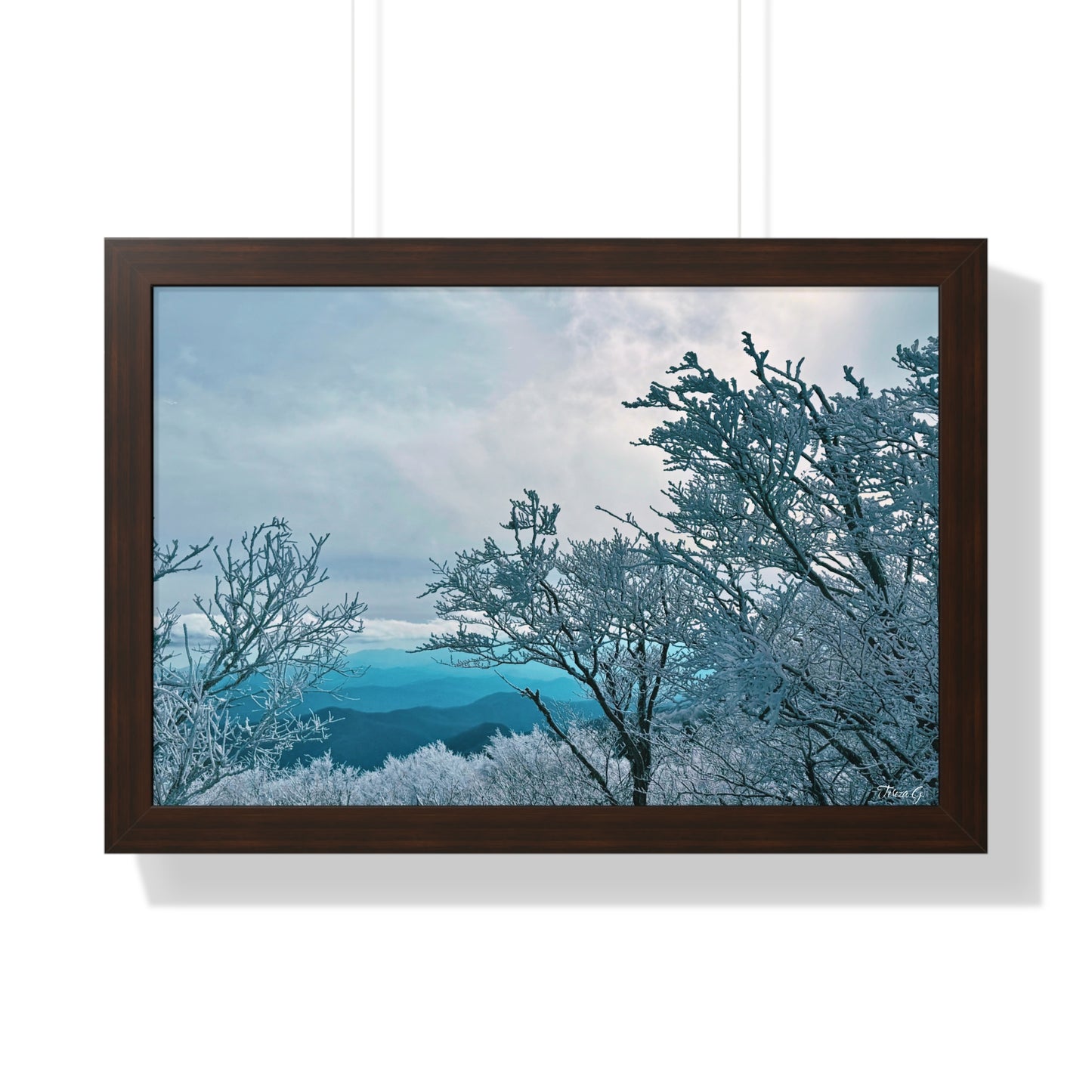 Winter in the Blue Ridge Mountains