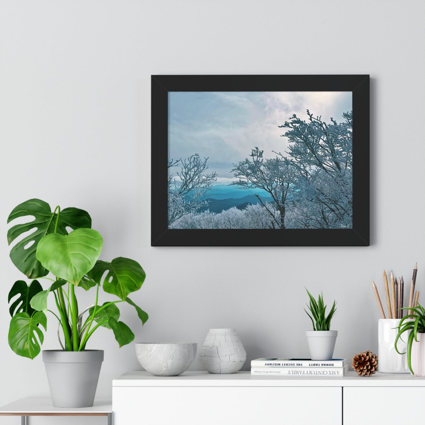 Winter in the Blue Ridge Mountains