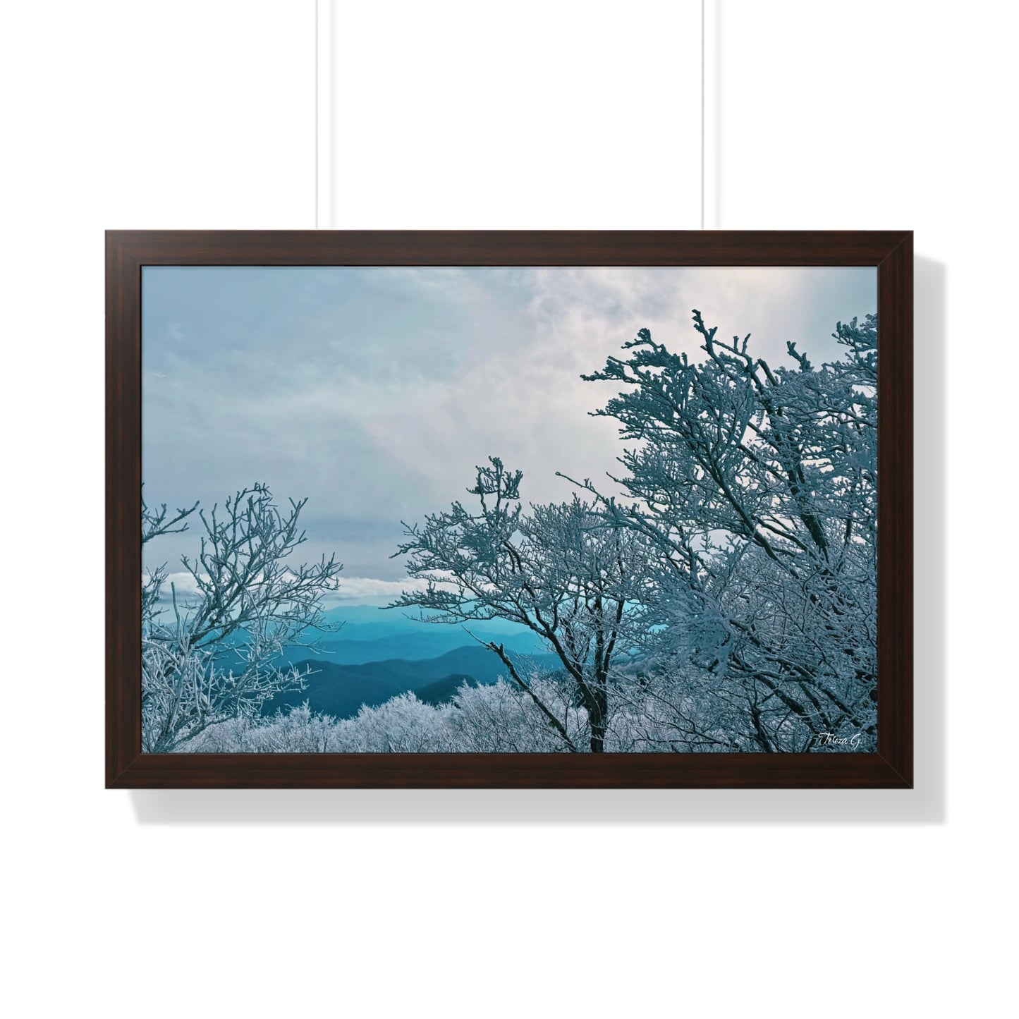 Winter in the Blue Ridge Mountains